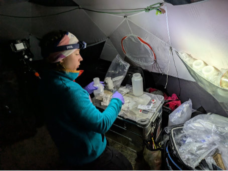 Leah processing samples late at night in the tent